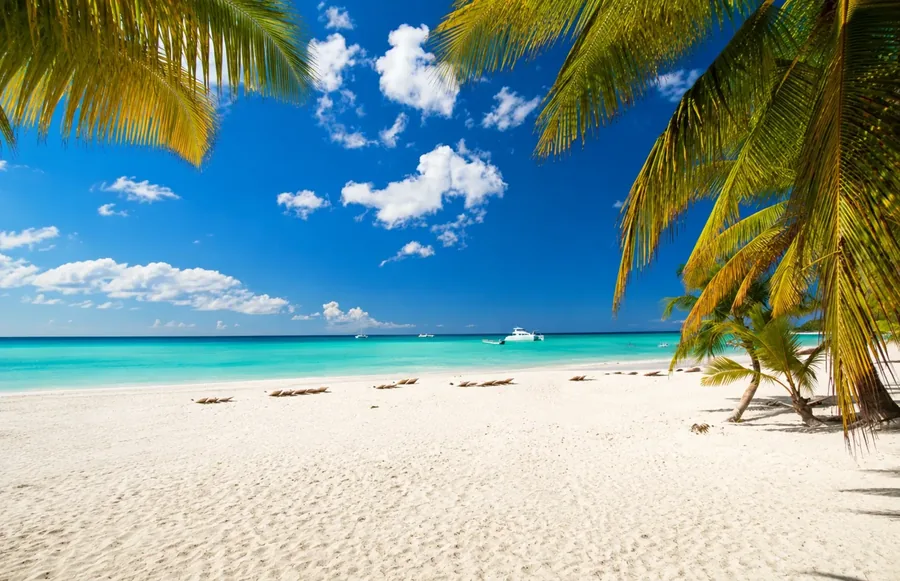 A white sand beach framed by palm fronds with a boat anchored off the shore