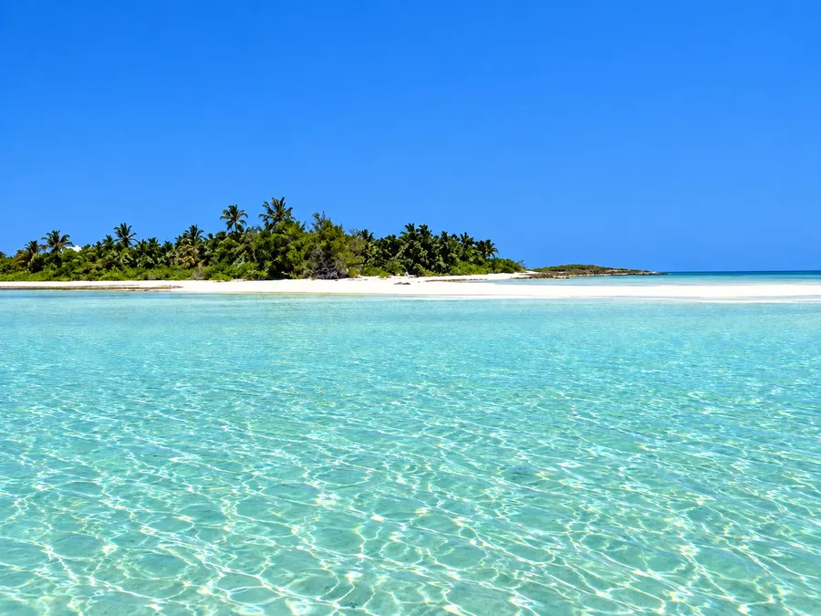 A quiet white beach and palms on Moores Island in the Abacos, clear turquoise shallows in front